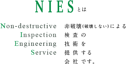 NIESとは
